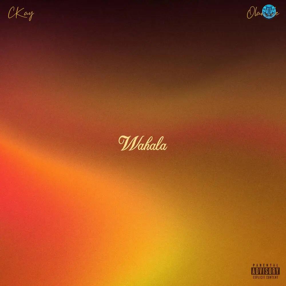 CKay – WAHALA (feat. Olamide)