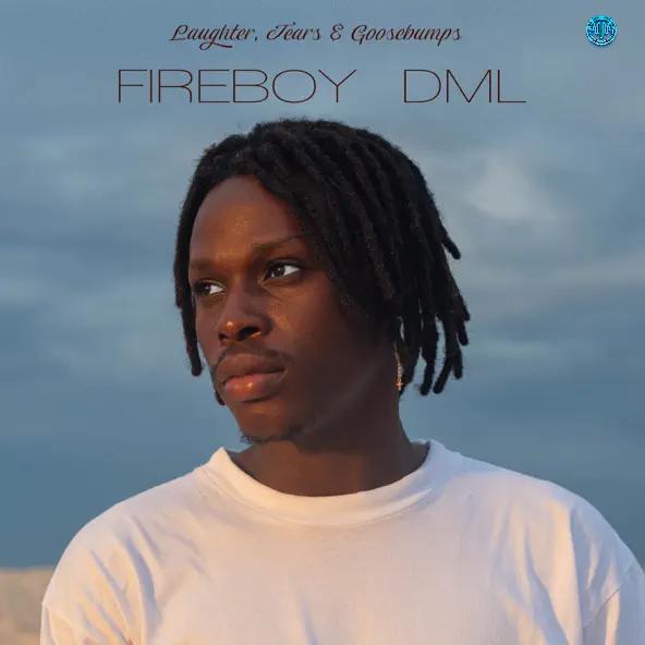 Fireboy DML – Laughter, Tears & Goosebumps (LTG) [Album]