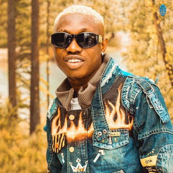 Zlatan Ibile Biography